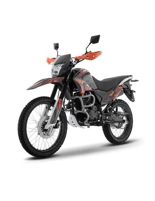 Motocicleta doble propósito Italika DM250 2024