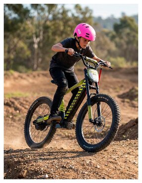 Bicicleta eléctrica Gravel Elec Cross Montañismo rodada 24