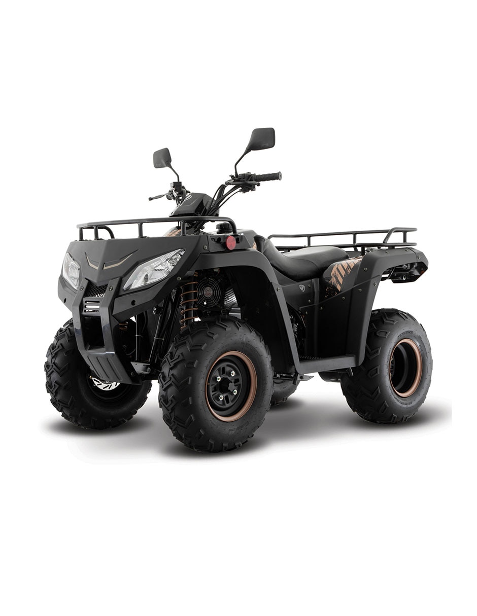 Cuatrimoto Atv250 2024 1