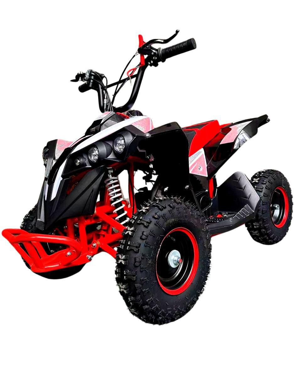Cuatrimoto mini 2024