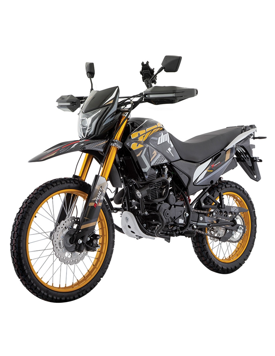 Motocicleta doble propósito Dm 300 2025 1