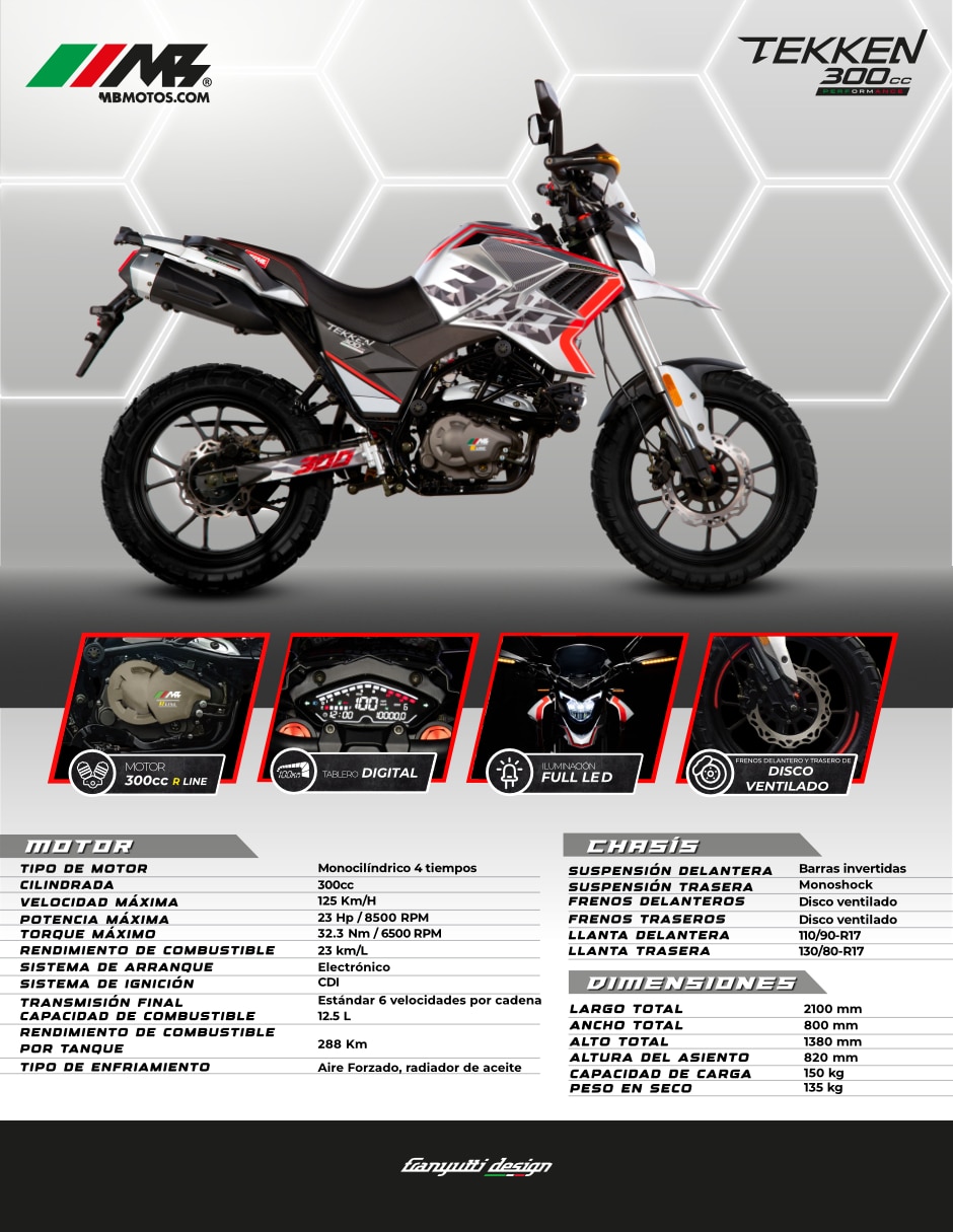 Motocicleta doble propósito TEKKEN 300 PERFORMANCE 2026 2