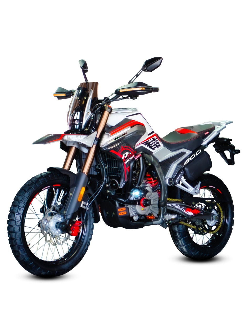 Motocicleta doble propósito X-ROAD 300 performance 2026 9