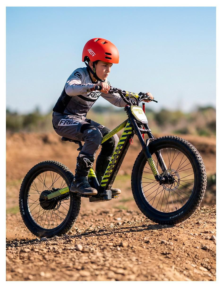 Bicicleta eléctrica Elec Cross Montañismo rodada 24 5